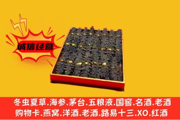 永州市新田回收海参